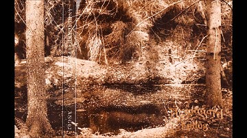 Änglagård - Prolog / Höstsejd