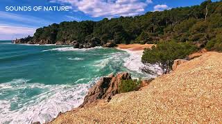 Ocean Symphony: A Visual and Auditory Journey of Tranquility