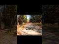 crazy lady crashes in a tree!😲#bike #crash #viral #shorts #youtubeshorts