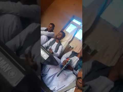 الفنان بله اللحوي ومحمد حبشي وقسم عثمان العمده 