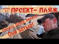 Новый проект- пляж / Начали распил доски / Какие планы / Делюсь процессом работы / Есть результат