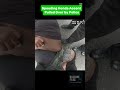 Speeding Honda Accord Pulled Over by Police