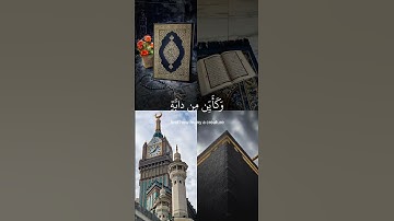 الذين صبروا وعلى ربهم يتوكلون ||حالات واتس قرآن كريم 🤍|| راحة نفسية 🌿|| عبدالرحمن مسعد ||قرآن كريم