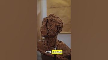 Your Automa workflow is slow for one reason. Here