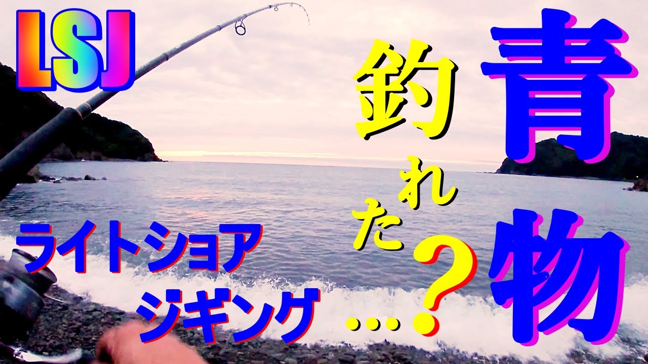 ライトショアジギング 高知県仁淀川河口 ヒラスズキ 好調 Youtube