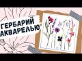 Как нарисовать цветы — kalachevaschool.ru — Пошаговый урок. Рисуем гербарий c Женей Мельниковой