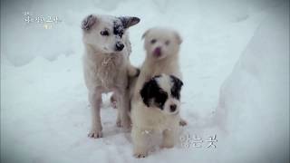 180216 나의살던고향은 예고 ㅣ KBS방송