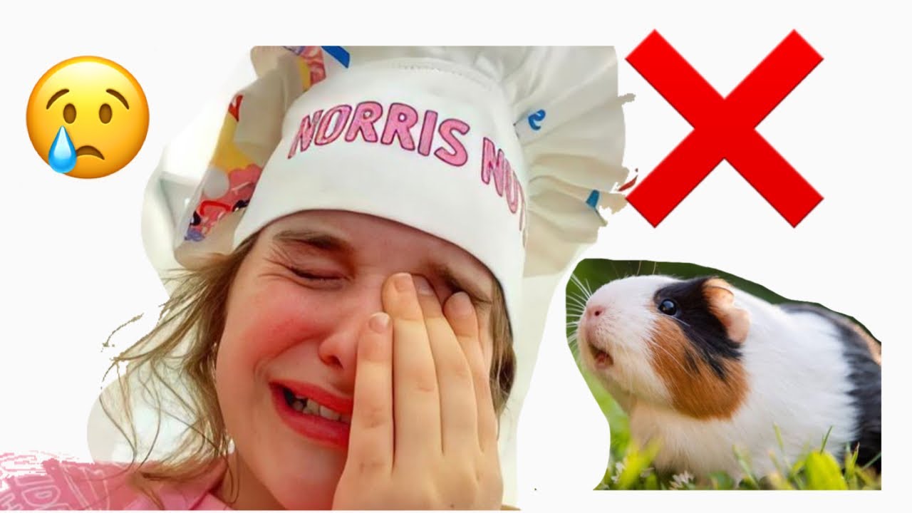 Who took BAZ and CHEDDAR ⁉️ 🤔