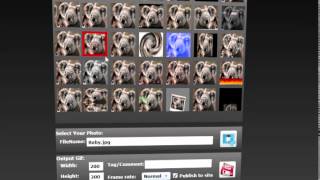 Free GIF Effect Maker screenshot 4