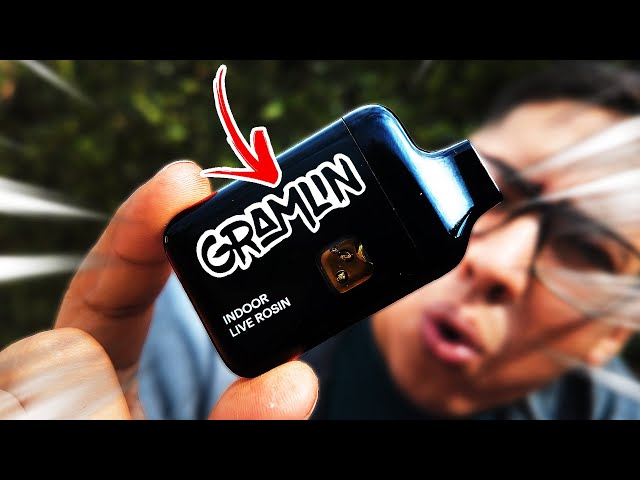 MY FIRST ROSIN DISPOSABLE OF 2025! | Gramlin Tropicana Banana!