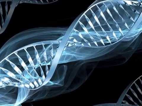 Video: UpSETing Chromatinu Během Nekódující Produkce RNA