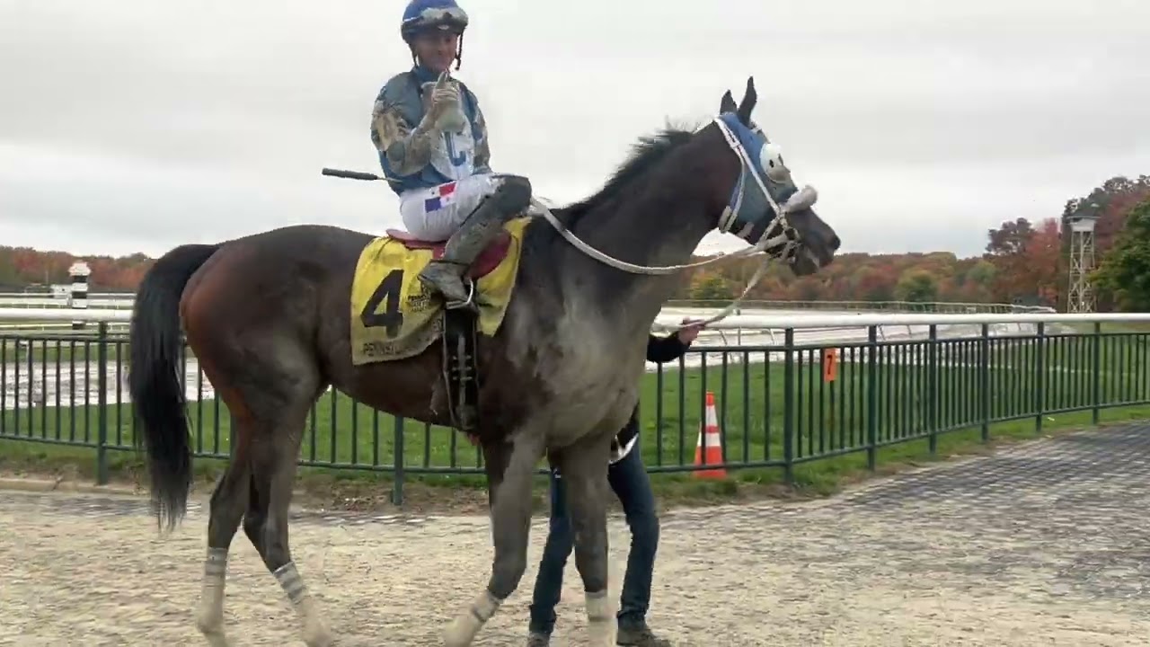 Pennsylvania Thoroughbred Horsemen's Association (PTHA) PTHA