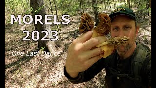 Morels 2023 All Things Must Pass