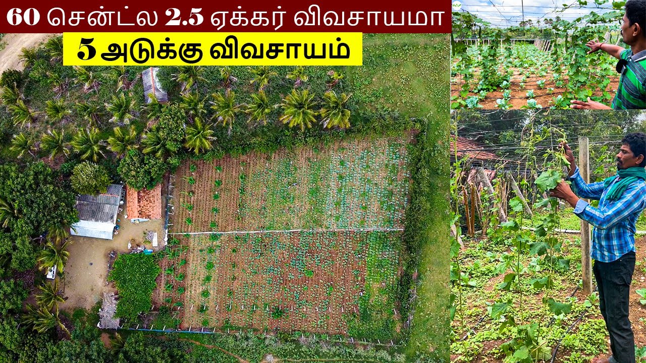 😱😳என்ன வெறும் 60 சென்ட் நிலத்தில் 5 வகையான பயிர்களை வளர்க்க முடியுமா🤔 | ஐந்து அடுக்கு சாகுபடி