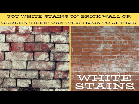 Got White Stain on Brick Walls or Garden Walls ?  Use This Trick to Get Rid Off