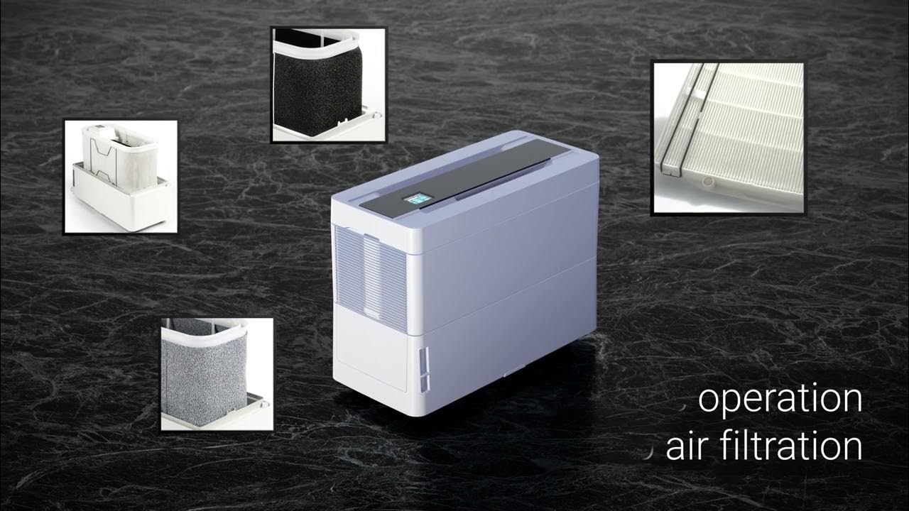 Humidifier and air purifier BRUNE B 600 YouTube