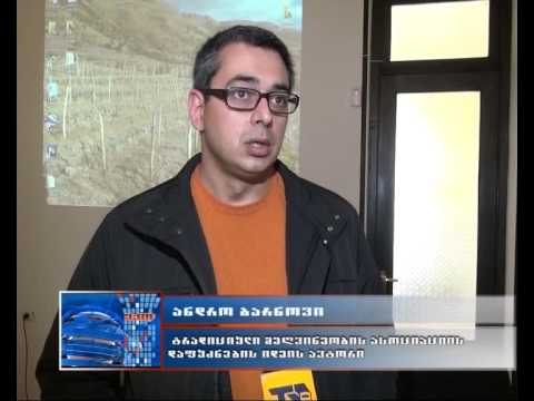 მესხური ვაზის ჯიშების პოპულარიზაციის მიზნით ახალციხეში ასოციაცია დაფუძნდა