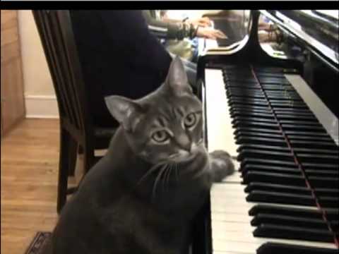 YouTubeでPete Yorn - June - Liveを視聴