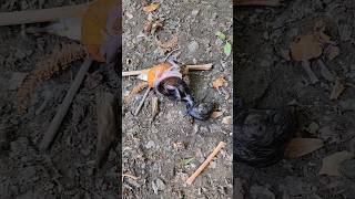 Ek Egg Main Ek Chuza Mara Howa Hai