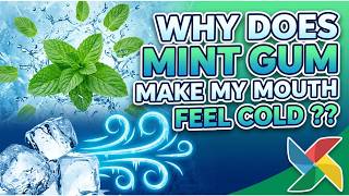 Why does Mint gum make my mouth feel cold?? || Science explained