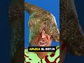 Emergencia por mordedura de serpiente! La mayoría de la gente hace esto mal.#health #viral