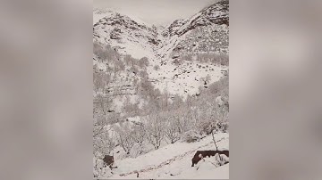 سورة الفاتحة ... تلاوة رائعة جدا .. سعد الغامدي ... 😍😍😍