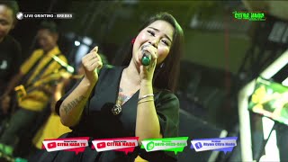 BANDAR GINCU // CITRA NADA LIVE DESA GRINTING KIDUL // BULAKAMBA - BREBE
