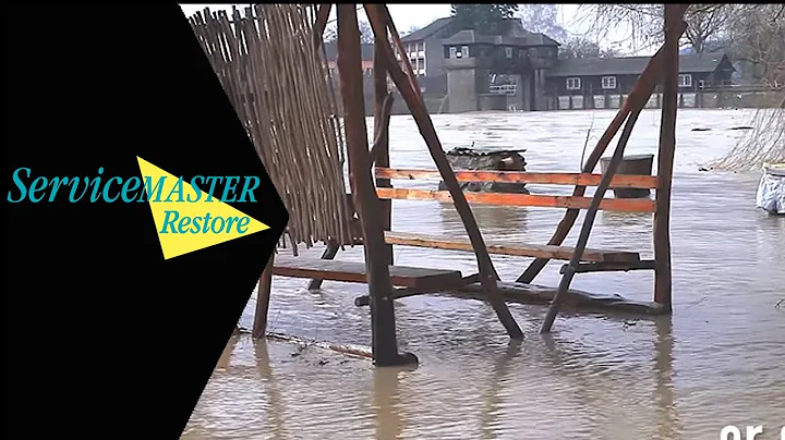 ServiceMaster Restore - Services