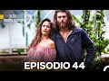 Série Madrugador Episódio 44 - Versão Completa em Português 🇧🇷