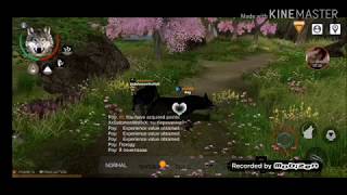 WOLF ONLINE 2 || КАК ЗАВЕСТИ ВОЛЧАТ ♡