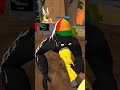 #animalcompany #blowthisaccountup #funny #famous #memes #vr #viral