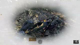 MBS PVE 01/08/2026