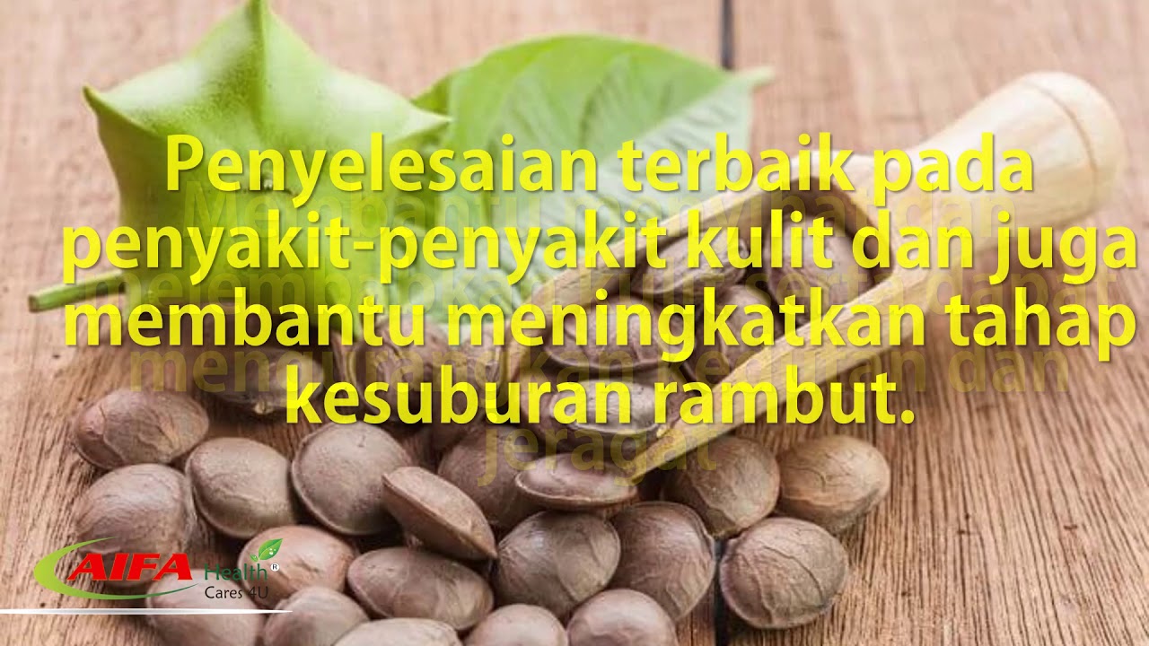 Khasiat Minyak Sacha Inchi - Super food 