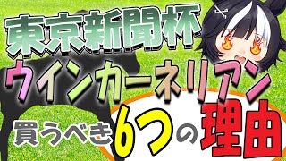 【2024東京新聞杯】この人気でウインカーネリアンが買える！？今回是非買うべき6つの理由を大公開！