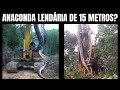 Encontrada Anaconda Gigante LENDÁRIA? | Biólogo Henrique o Biólogo das Cobras