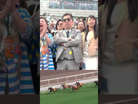 What it means when YOUR HORSE becomes the world's RICHEST thoroughbred of ALL TIME! #hkracing