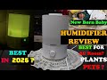 Reffair Humidifier Caligo 70 Review: Best Humidifier In India 2026? &amp; Reffair Caligo 500 Guide
