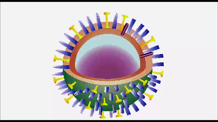 Was ist der unterschied zwischeninfluenza a und b