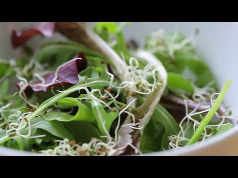 Como cultivar Speedy Windowsill