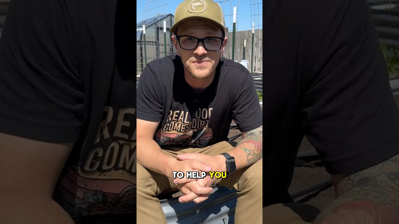 My Drip Irrigation Setup: From Start To Finish!