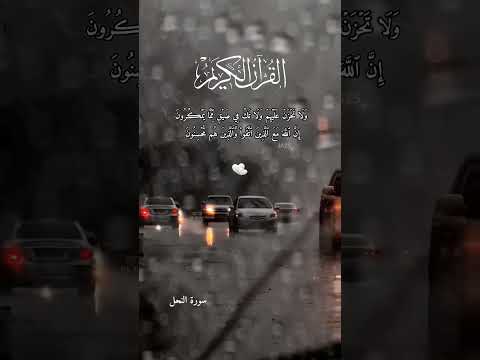 و ل ا ت ح ز ن ع ل ي ه م و ل ا ت ك ف ي ض ي ق م م ا ي م ك ر ون قرآن ارح قلبك تفاعلو