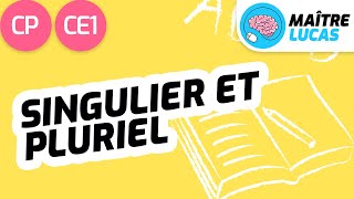 Le singulier et le pluriel CP - CE1 - Cycle 2 - Français : étude de la langue, Lecture