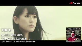 Video thumbnail of "TRUE / STEEL -鉄血の絆- - MV Short Ver."