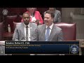 New York State Senate Session - 03/19/2026