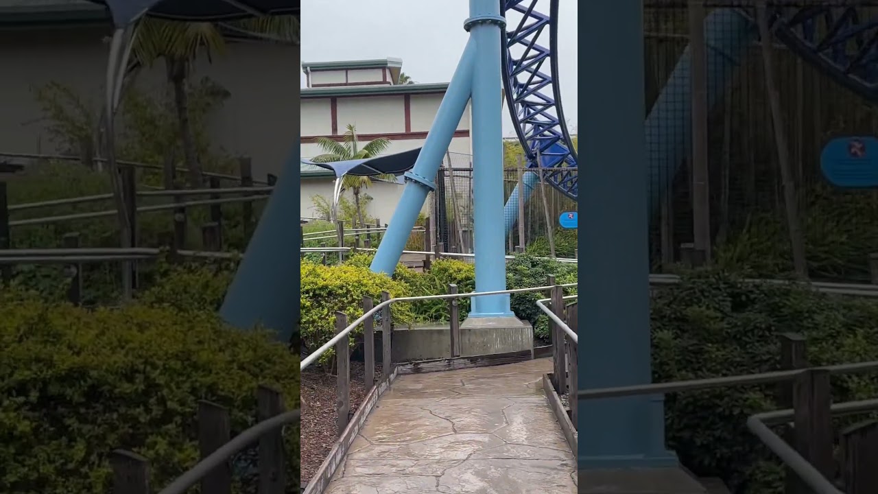 One of the most beautiful sights at any amusement park 🥰 | Manta, SeaWorld San Diego | Mack Launch