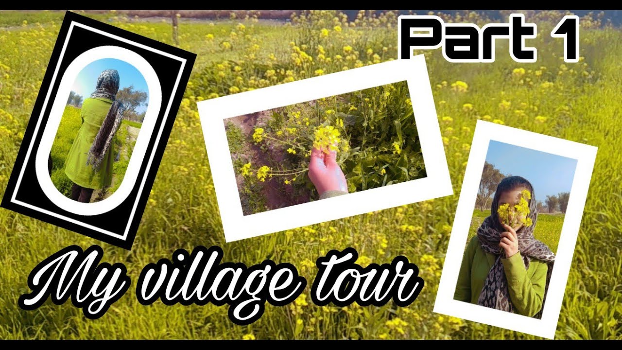 My village tour part - 1 (pachnand)  | Samna's World