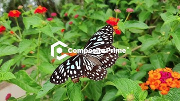 Composite Prime - Promotional Video