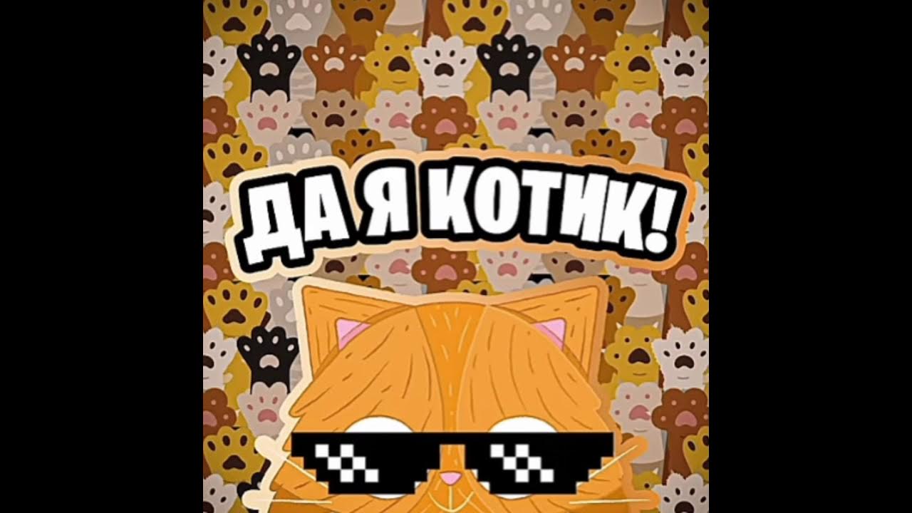 студенты как котята мем. смешные комиксы про котов новые. джотаро куджо кот ава. кот в стиле художника. я кот на стиле в твоем.