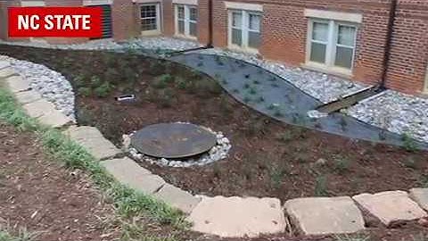 Syme Hall South Garden Design + Build