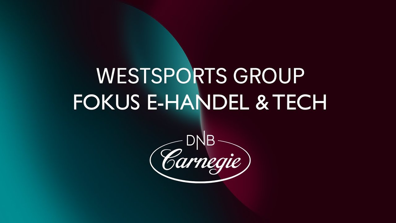 Wesports Group - Fokus e-handel & tech